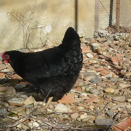 Bed & Breakfast Le Soubiran Berat